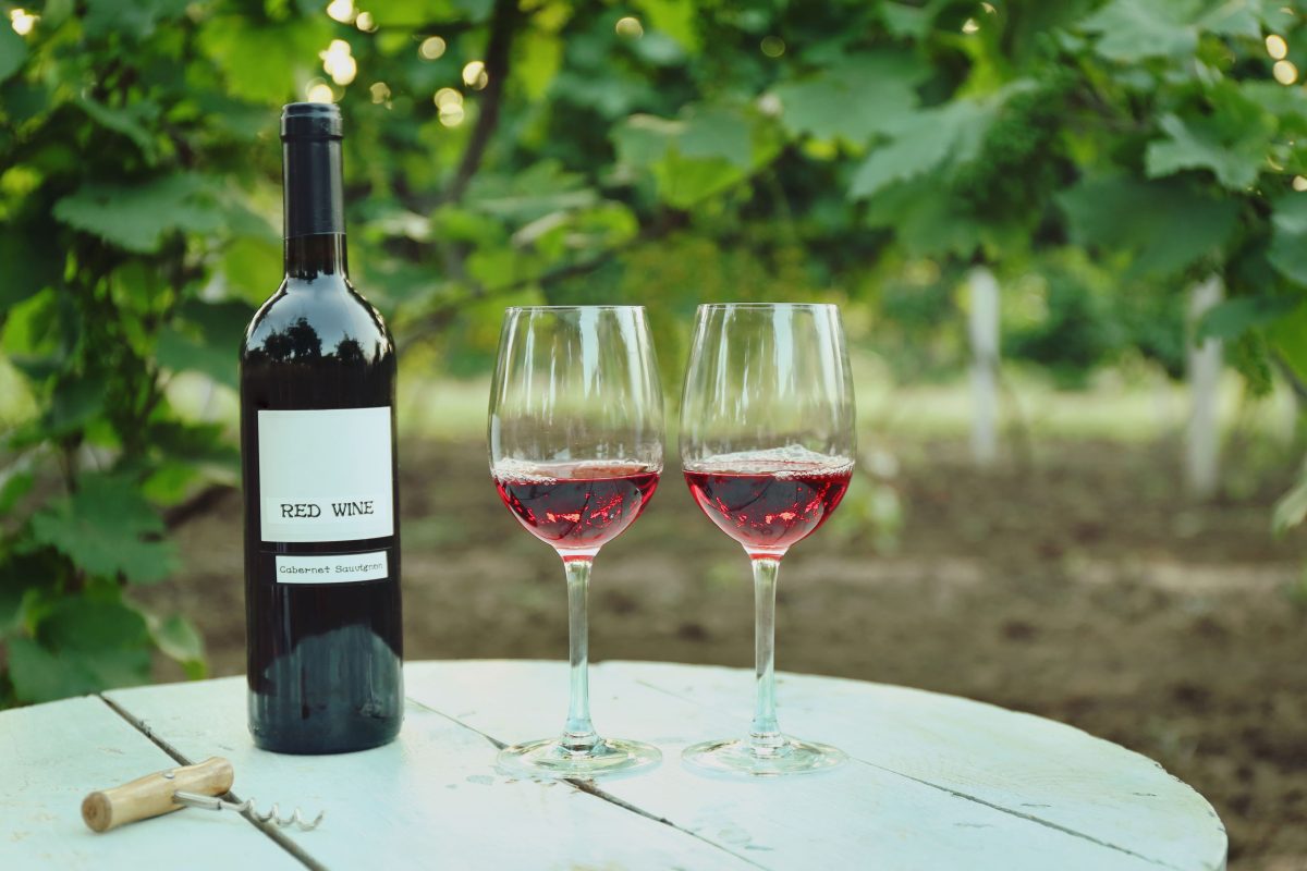 Mendoza wineries-02-min Mendoza wineries-02-min